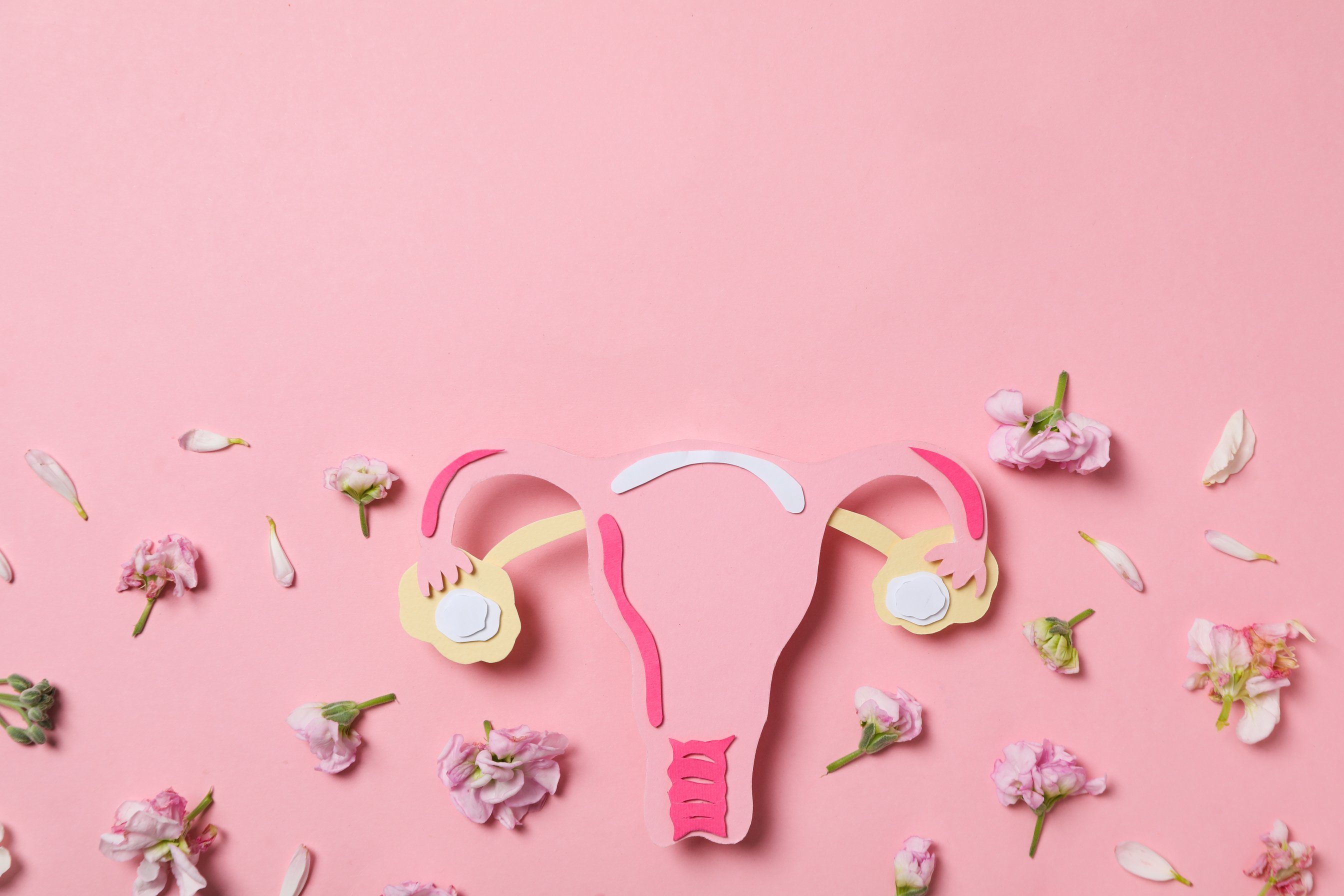 Women's health and women's healthcare concept with uterus